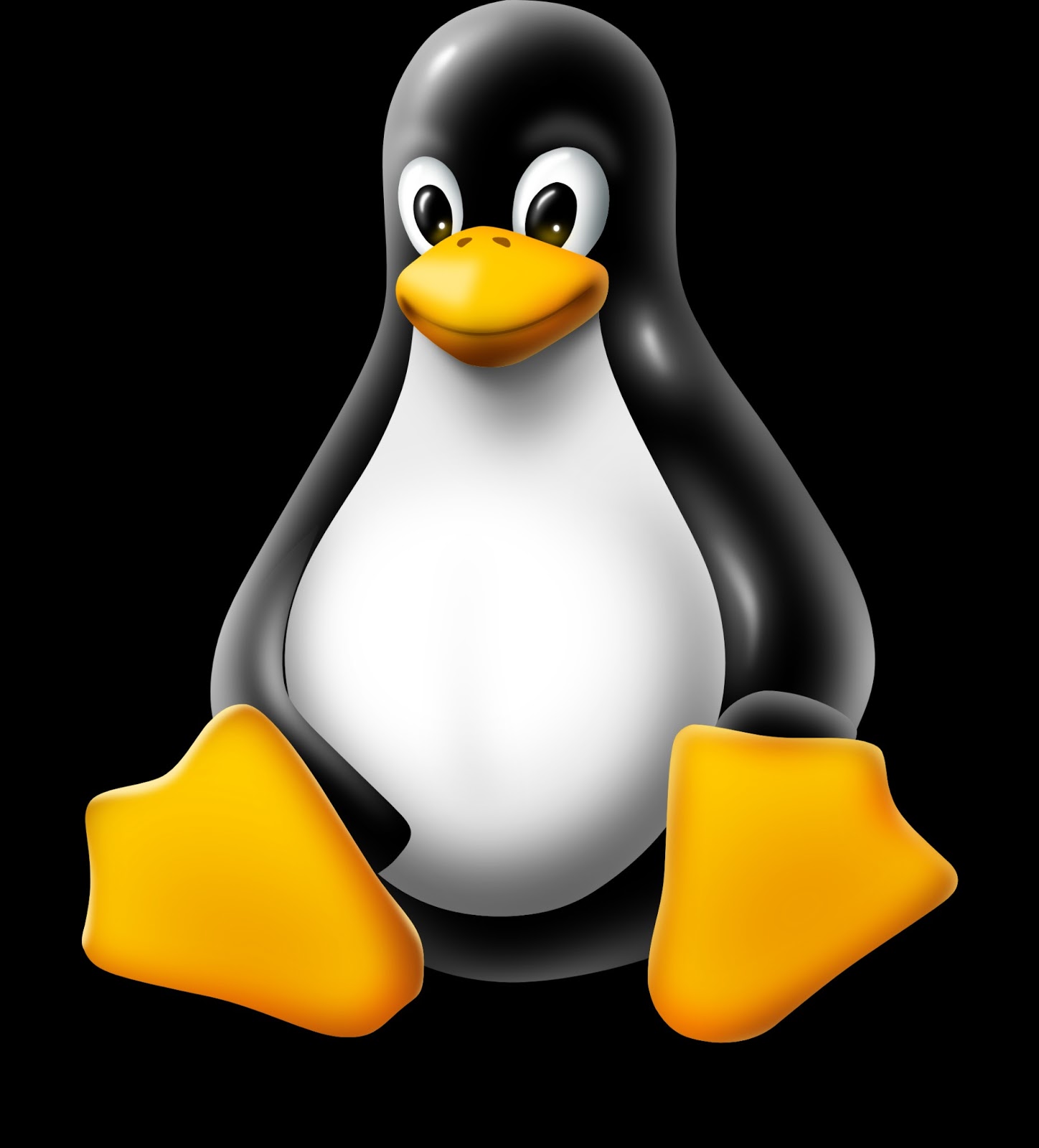 Fundamentos Básicos de Linux